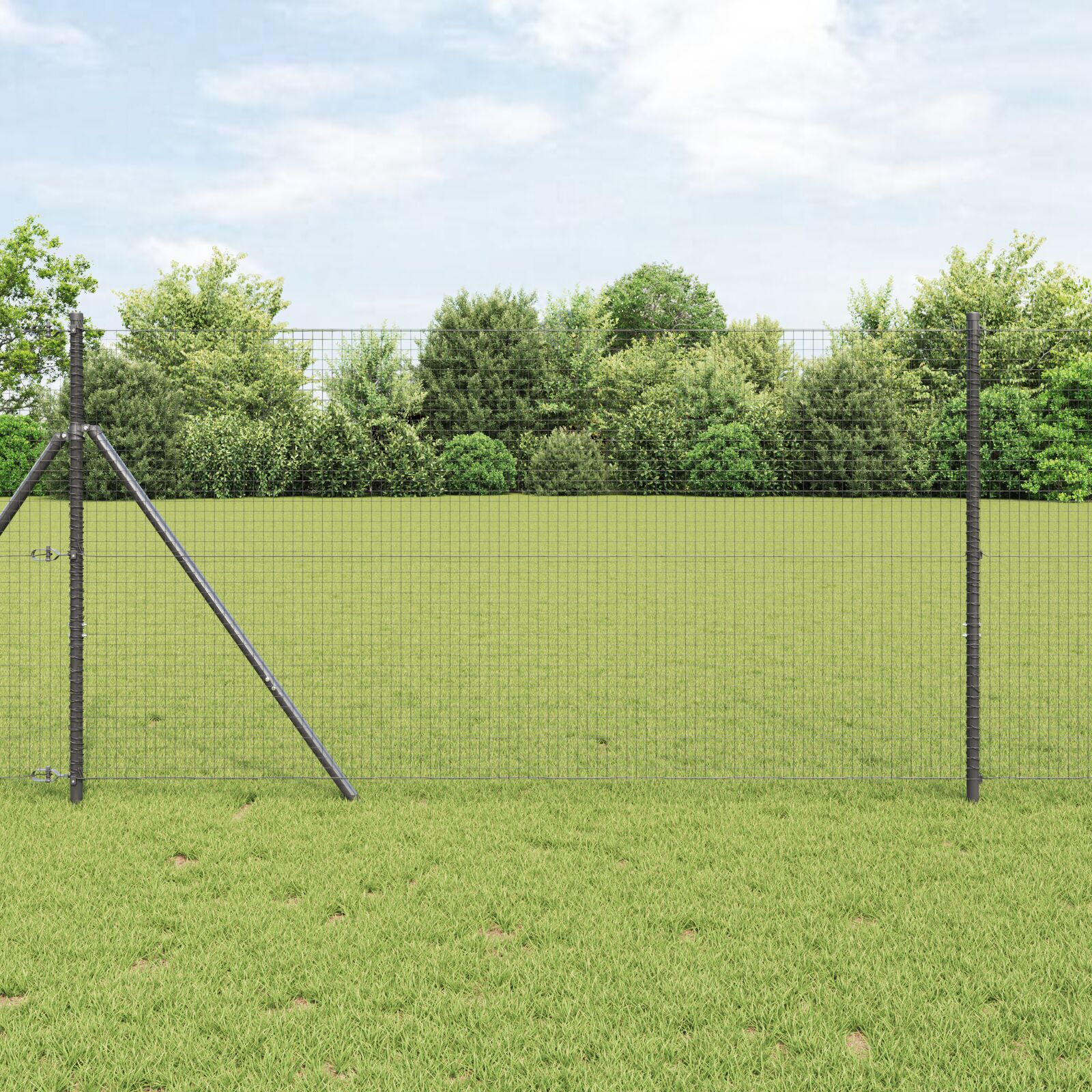 Svejset Trådhegn Grå 1,2x50 m Stål