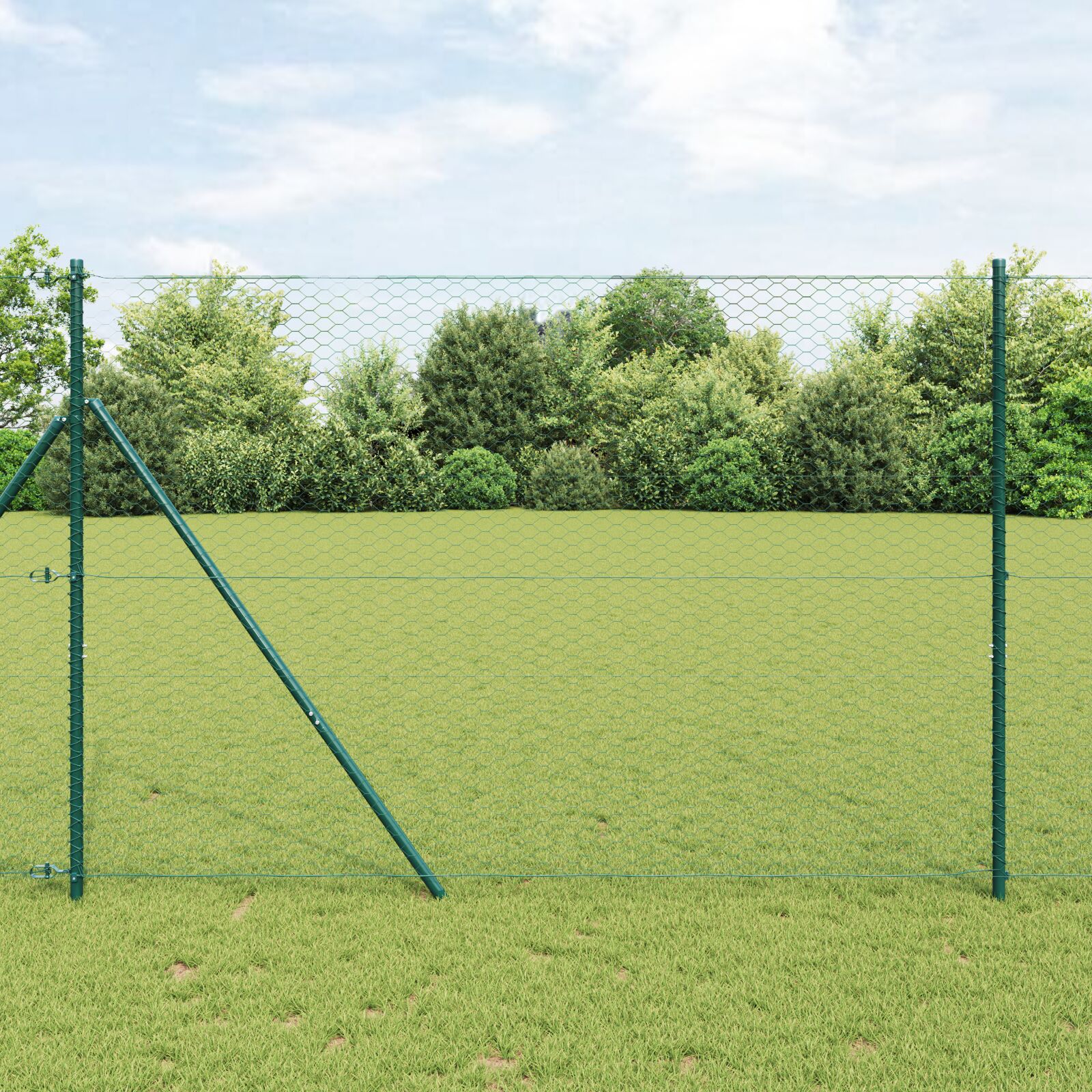 Heksagonaalne Aed Roheline 1.5x10 m Teras