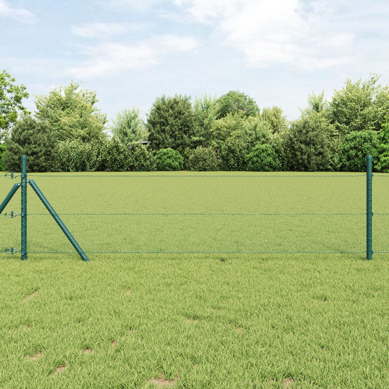 Kuuese Aed Roheline 0.5x50 m Teras