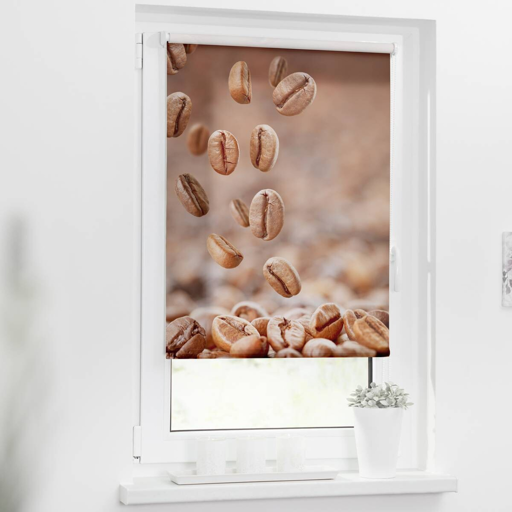 LICHTBLICK Rollo Kaffee braun B/L: ca. 100x150 cm