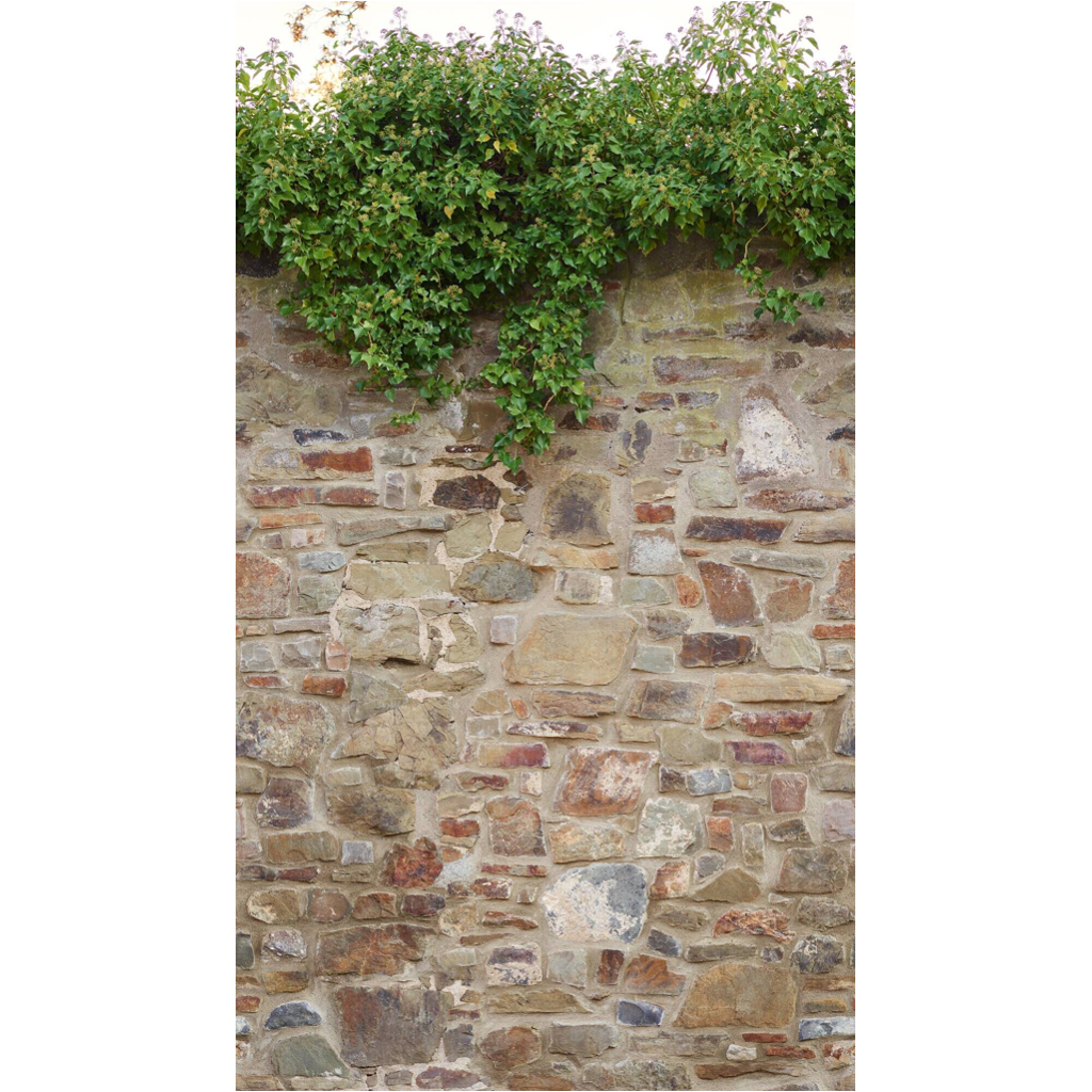 Livingwalls Fototapete Steinoptik beige grün braun B/L: ca. 280x159 cm