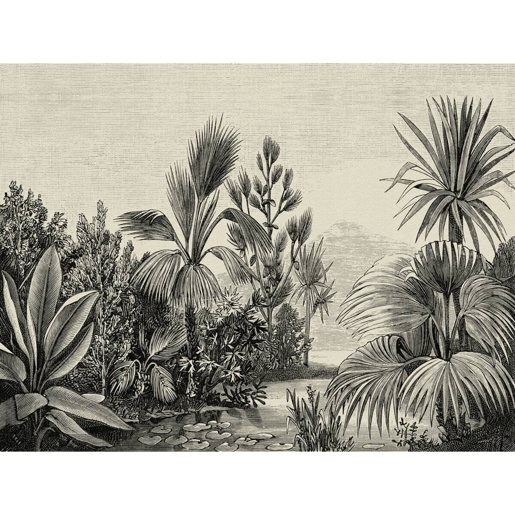 Livingwalls Fototapete Dschungel schwarz grau beige B/L: ca. 280x371 cm