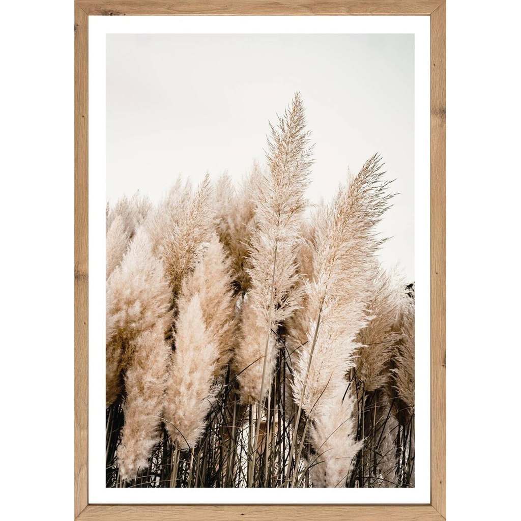 Gerahmtes Bild Natur B/H: ca. 70x50 cm