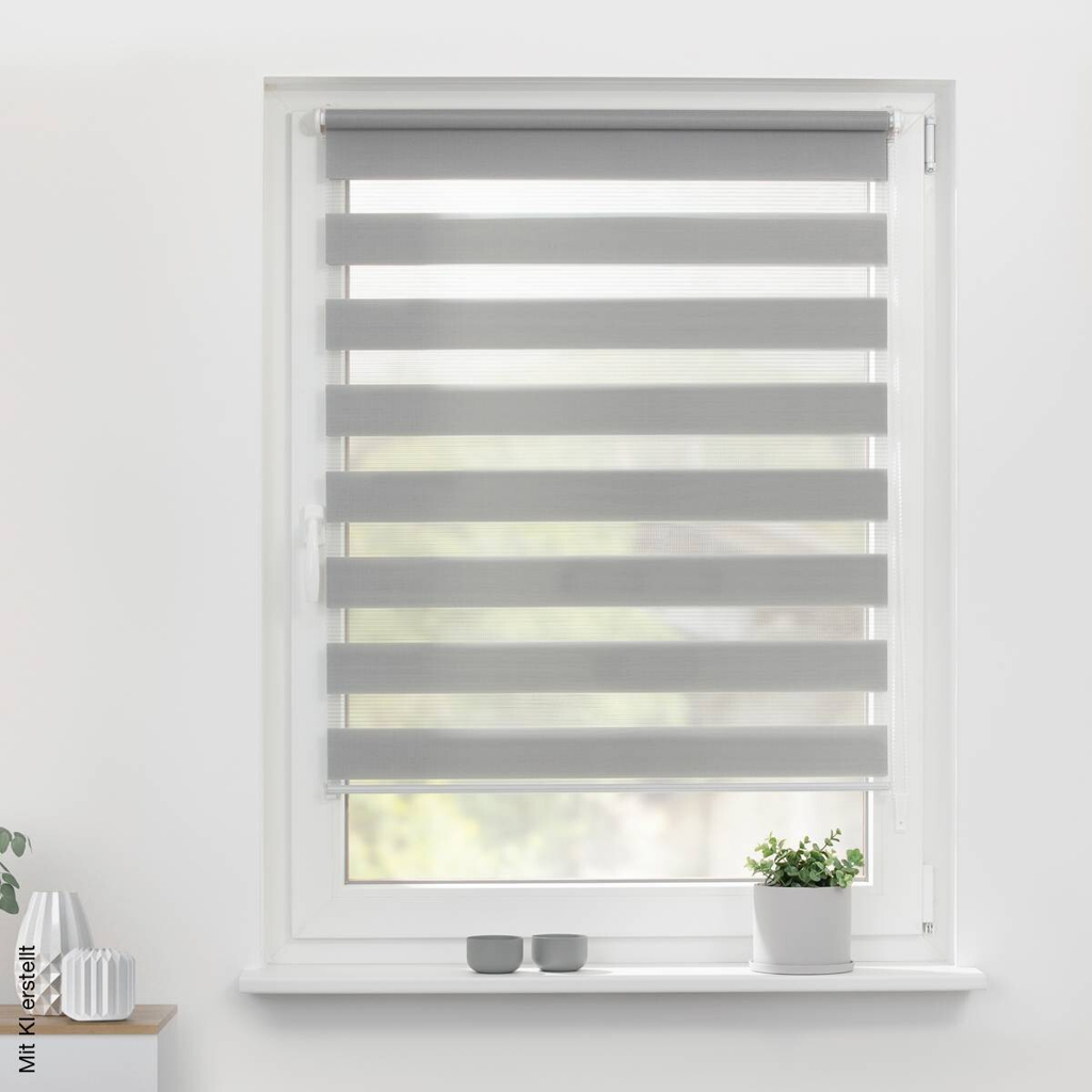 LICHTBLICK Doppelrollo Duo grau B/L: ca. 50x150 cm