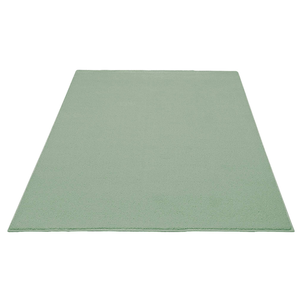 Teppich Montana mint B/L: ca. 160x220 cm