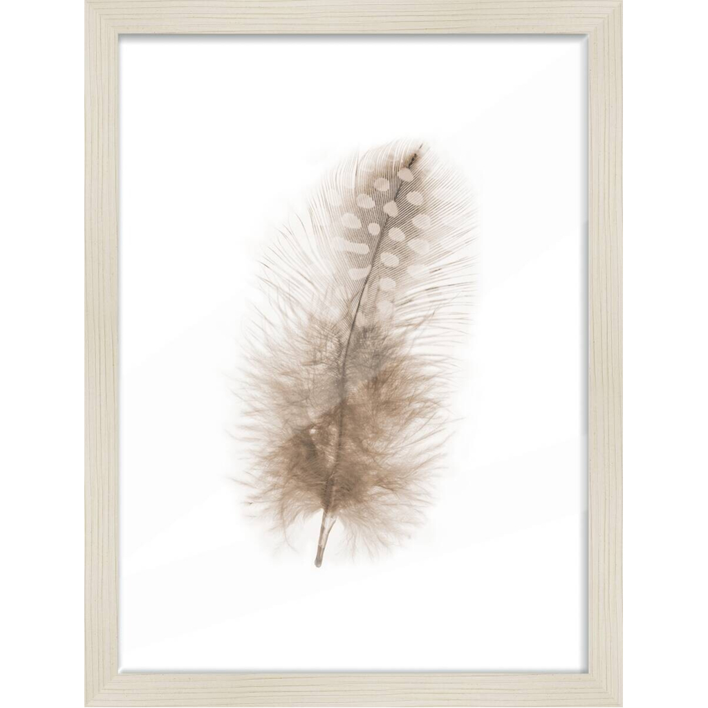 Bilderrahmen weiß Eiche H/L: ca. 30x40 cm
