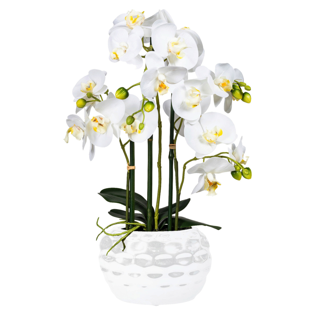 Orchidee weiß Kunststoff H: ca. 55 cm