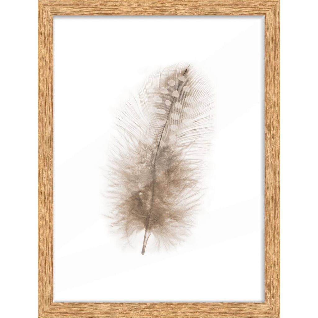Bilderrahmen Eiche Eiche H/L: ca. 30x40 cm
