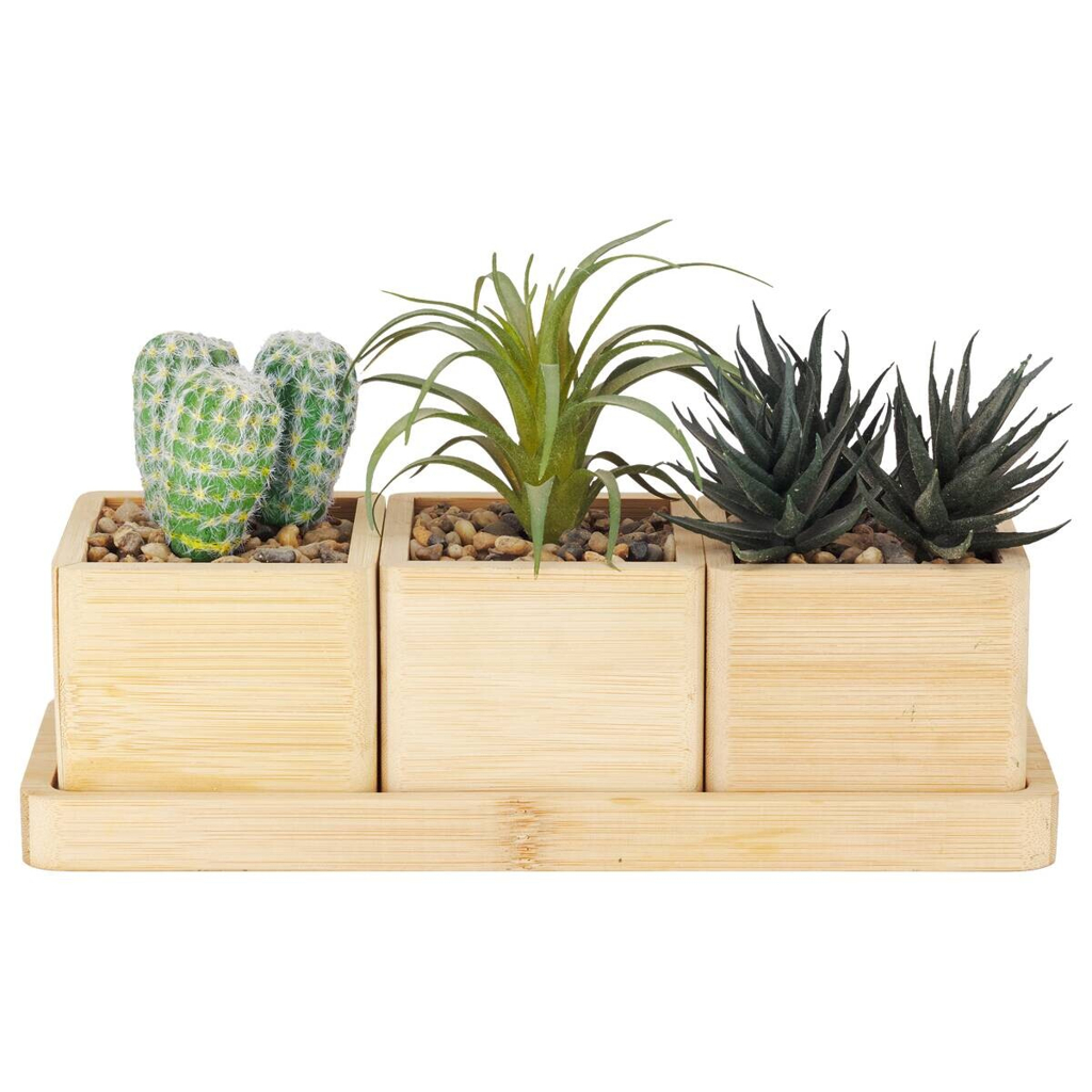 Deko-Pflanze natur Bambus B/H/L: ca. 11x20x29 cm