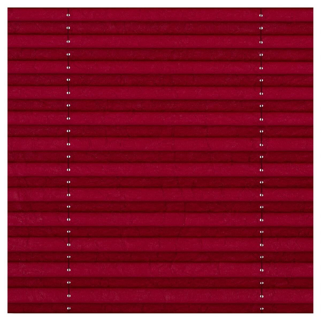 LICHTBLICK Spannplissee brombeer B/L: ca. 55x130 cm