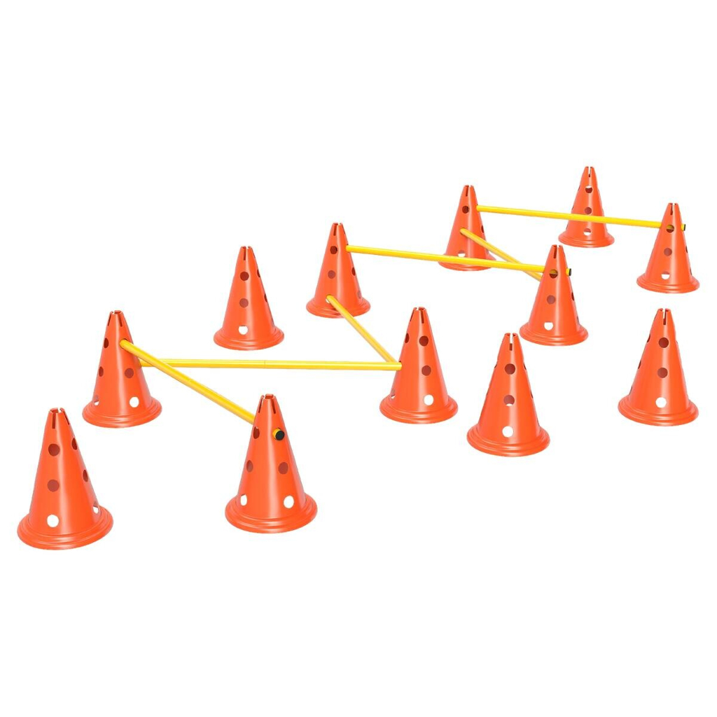 PawHut Hund Agility Set orange Kunststoff B/H/L: ca. 22,5x30x80 cm
