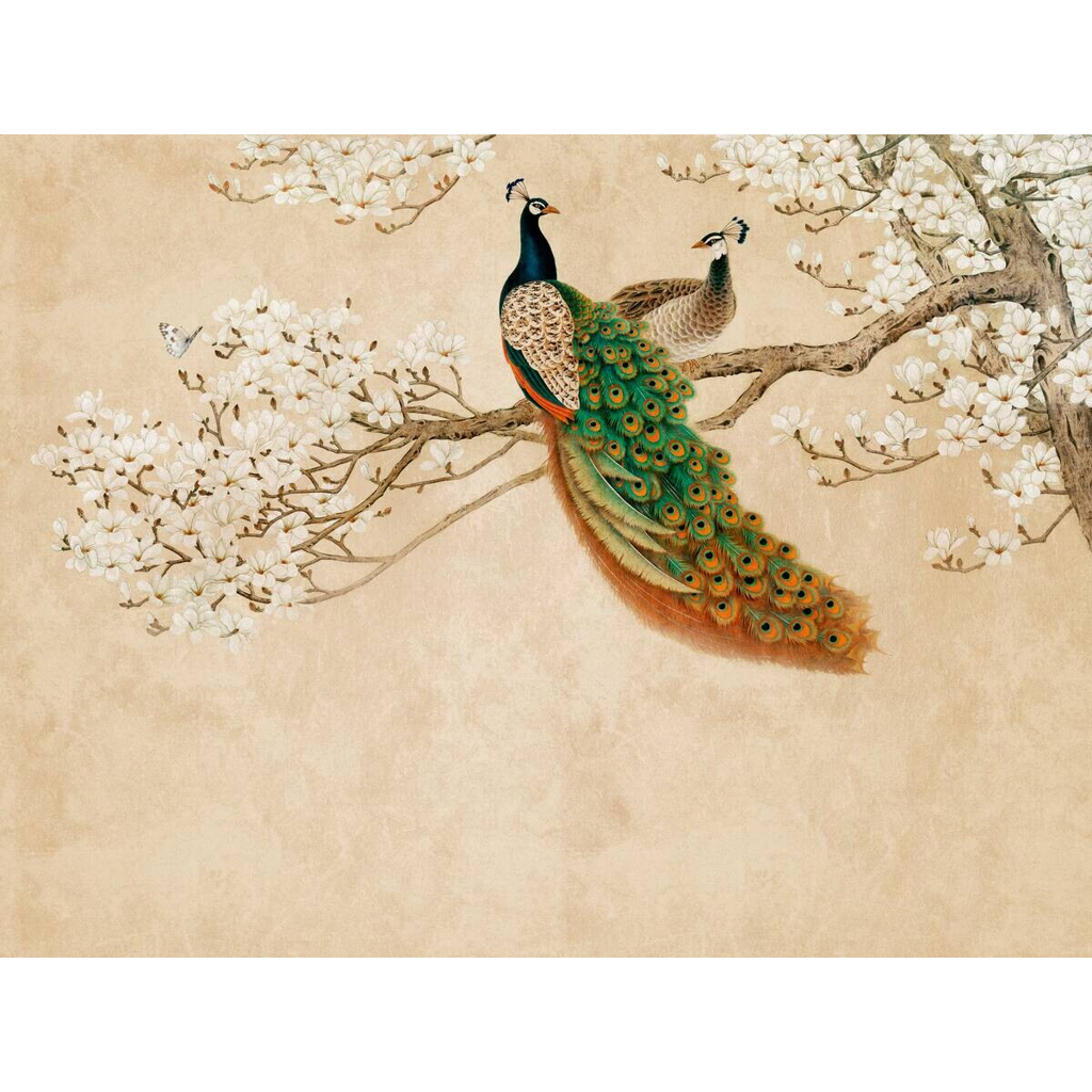 Livingwalls Fototapete Pfau orange beige weiß B/L: ca. 280x371 cm
