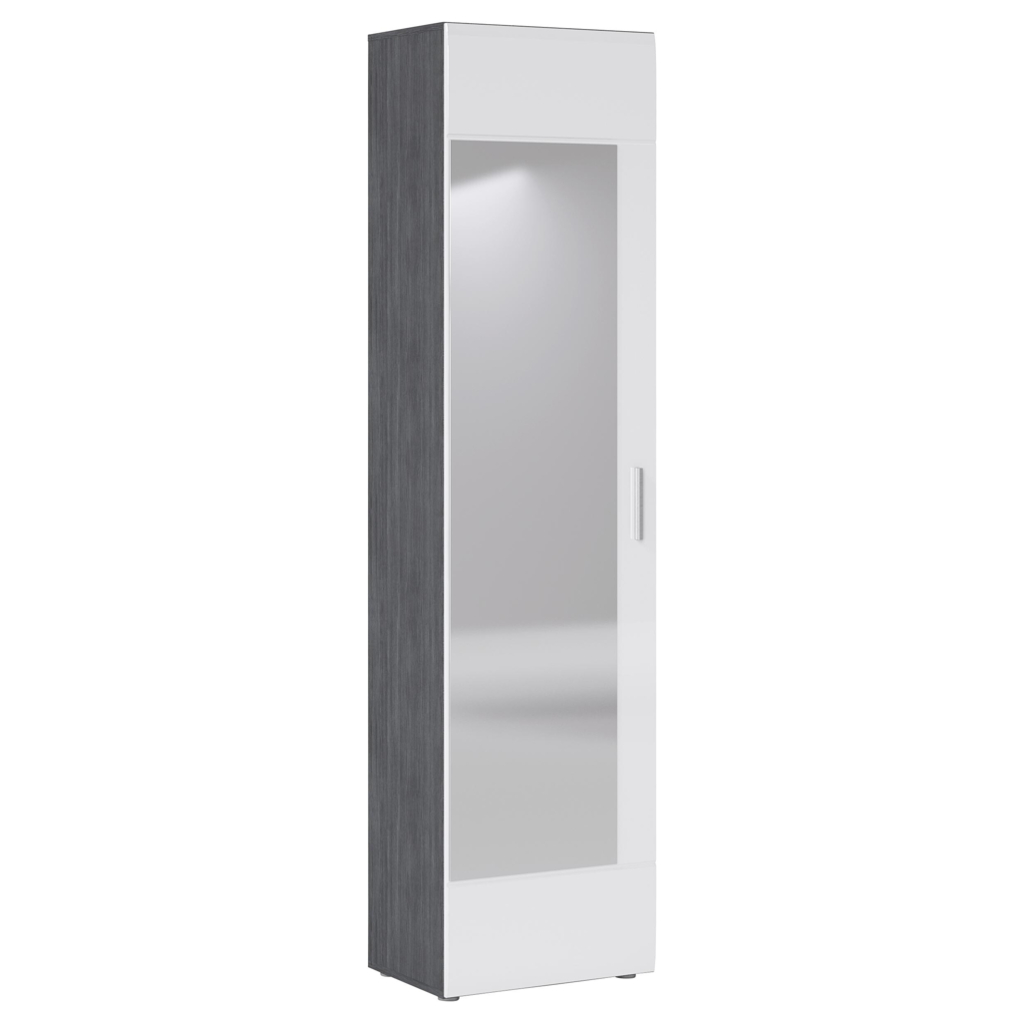 Garderobenschrank Salve Rauchsilber Nachbildung weiß Hochglanz B/H/T: ca. 50x198x35 cm