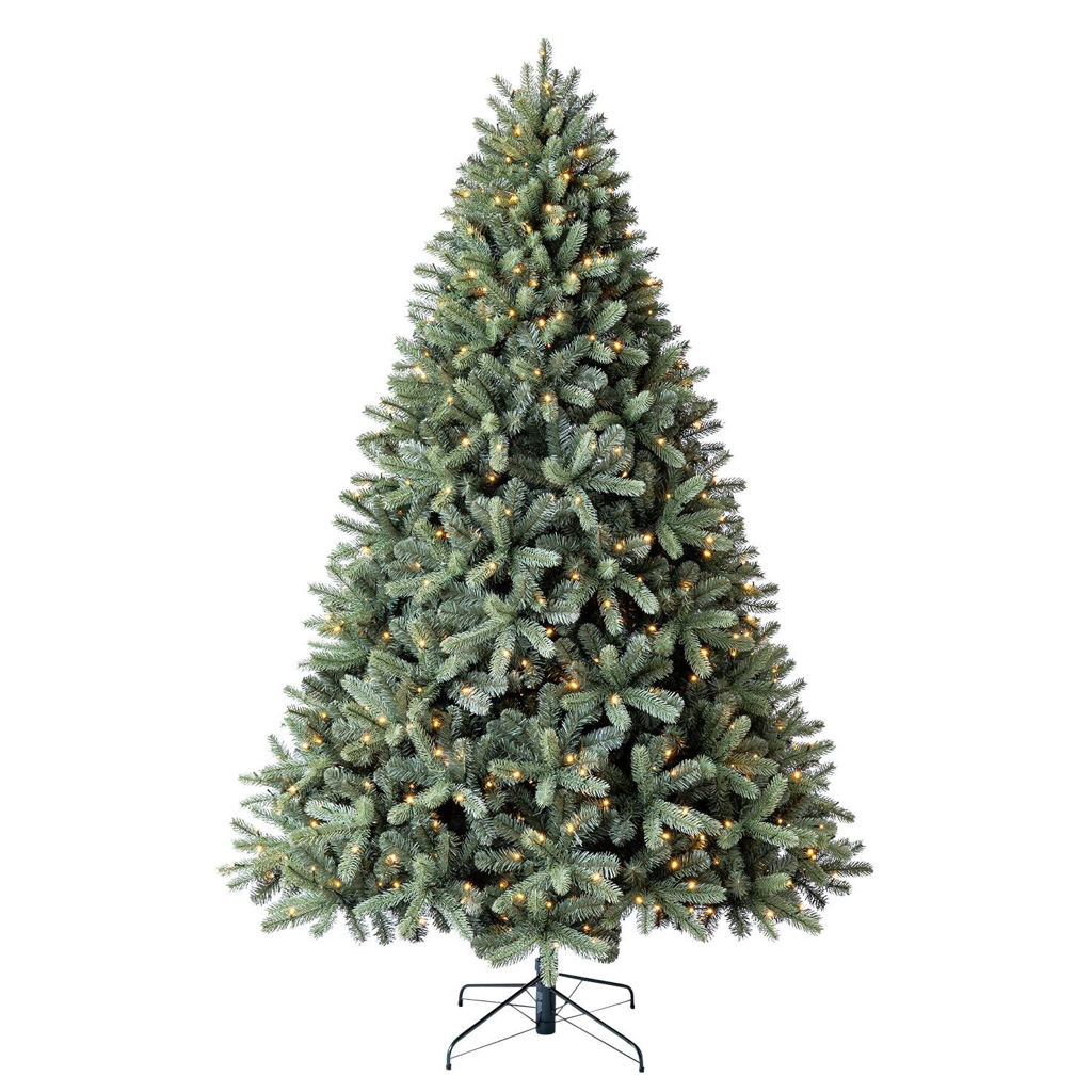 Evergreen Weihnachtsbaum Vermont Fichte