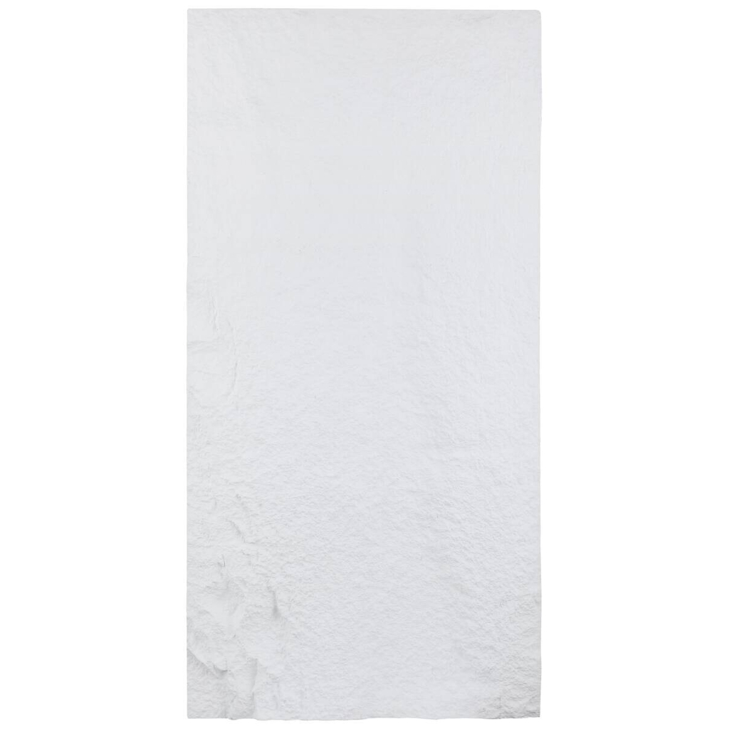 Wandpaneel PU Stone 2er-Set Alabaster L/B/H: ca. 120x60x3 cm pro Stück