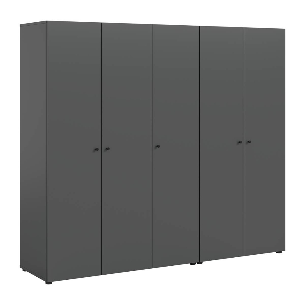 Kleiderschrank DARWIN anthrazit B/H/T: ca. 200x176x51 cm