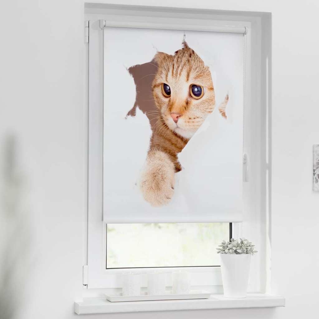 LICHTBLICK Verdunkelungsrollo Katze weiß B/L: ca. 90x150 cm