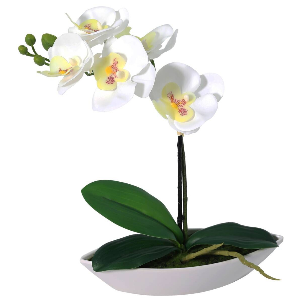 Orchidee weiß Kunststoff B/H/L: ca. 8x30x24 cm