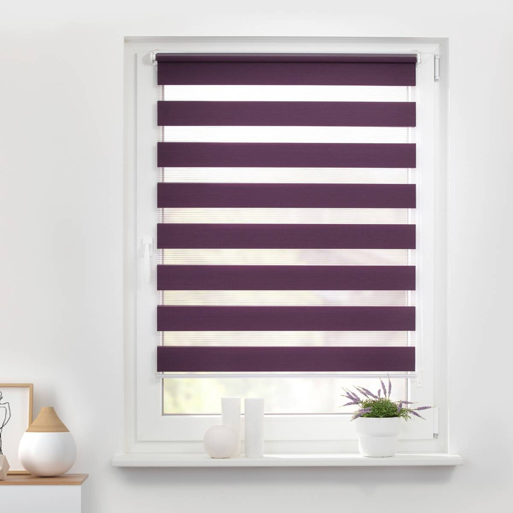 LICHTBLICK Doppelrollo Duo brombeer B/L: ca. 55x150 cm