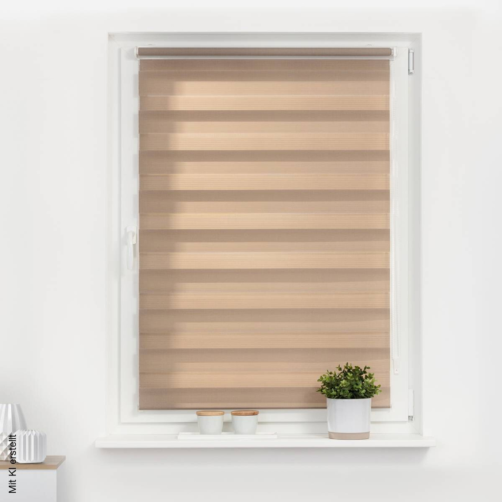 LICHTBLICK Doppelrollo Duo taupe B/L: ca. 45x150 cm