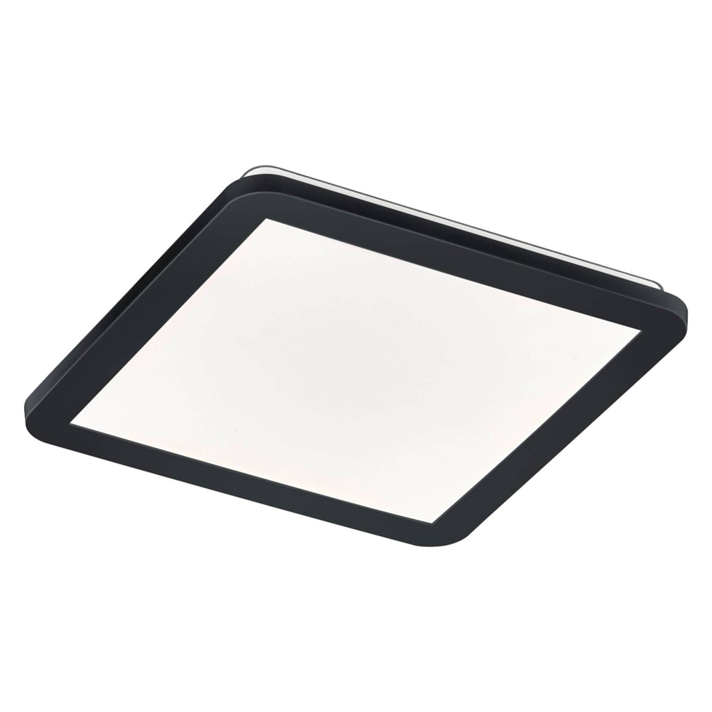 Reality Deckenleuchte Camillus schwarz Opal Kunststoff