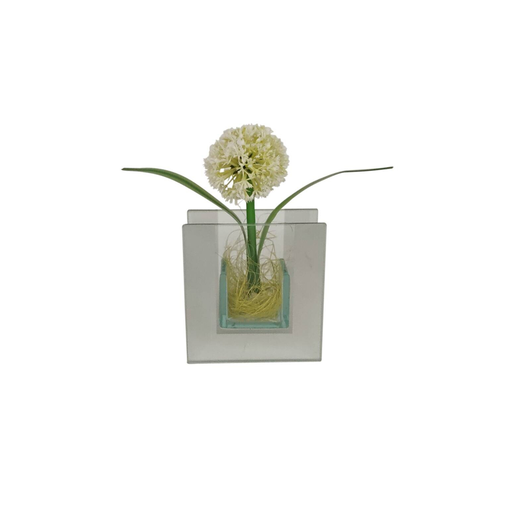 POCOline Vase klar Glas B/H/L: ca. 4x9x8,5 cm