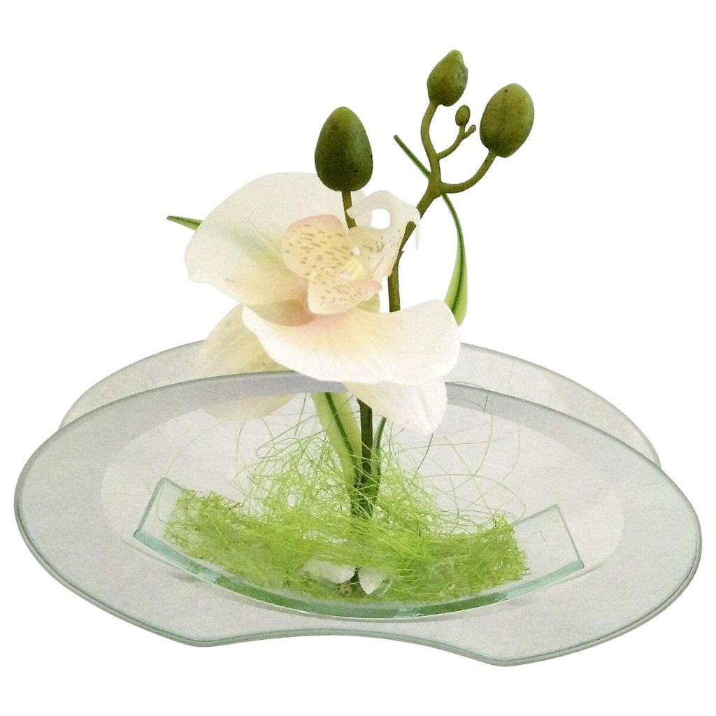 POCOline Vase klar Glas B/H/L: ca. 4,5x9,5x20 cm
