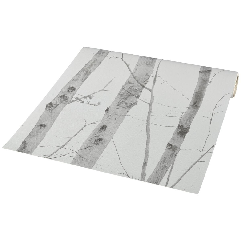 Vliestapete Birkenwald grau creme B/L: ca. 53x1005 cm