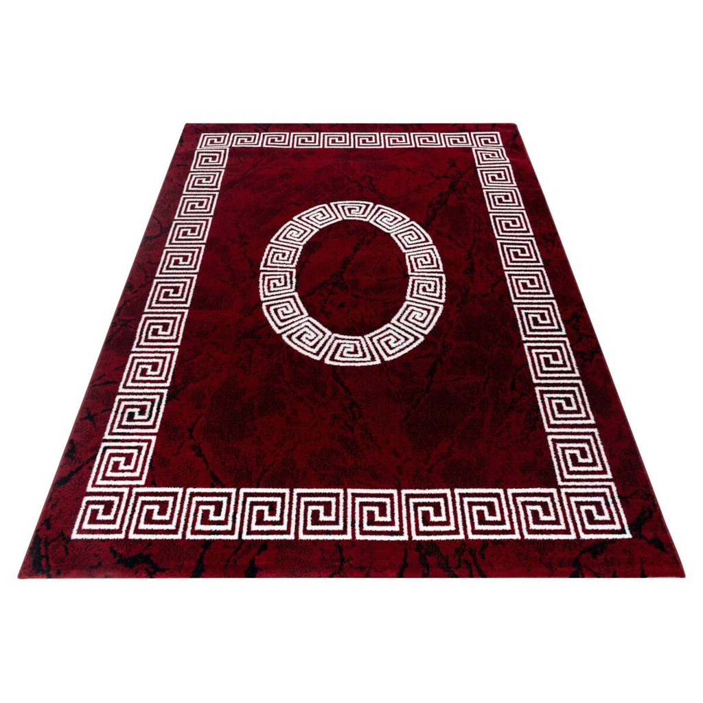 Ayyildiz Teppich PLUS rot B/L: ca. 120x170 cm