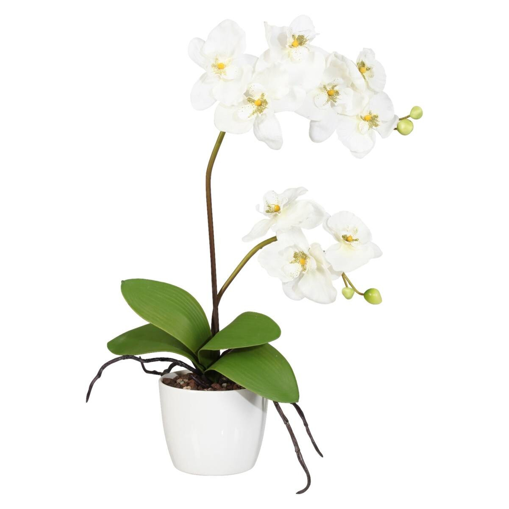 Orchidee creme Kunststoff H/D: ca. 60x13 cm