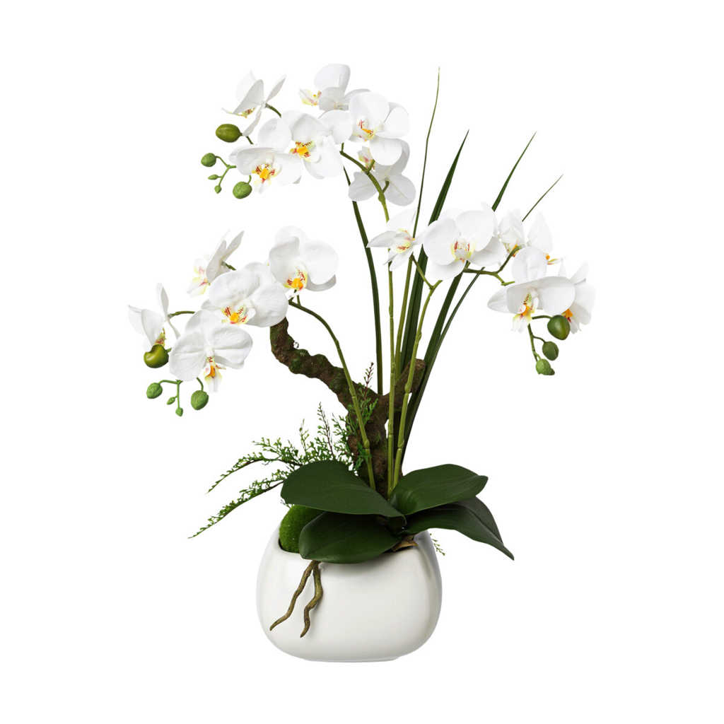 Orchidee weiß Kunststoff H: ca. 46 cm
