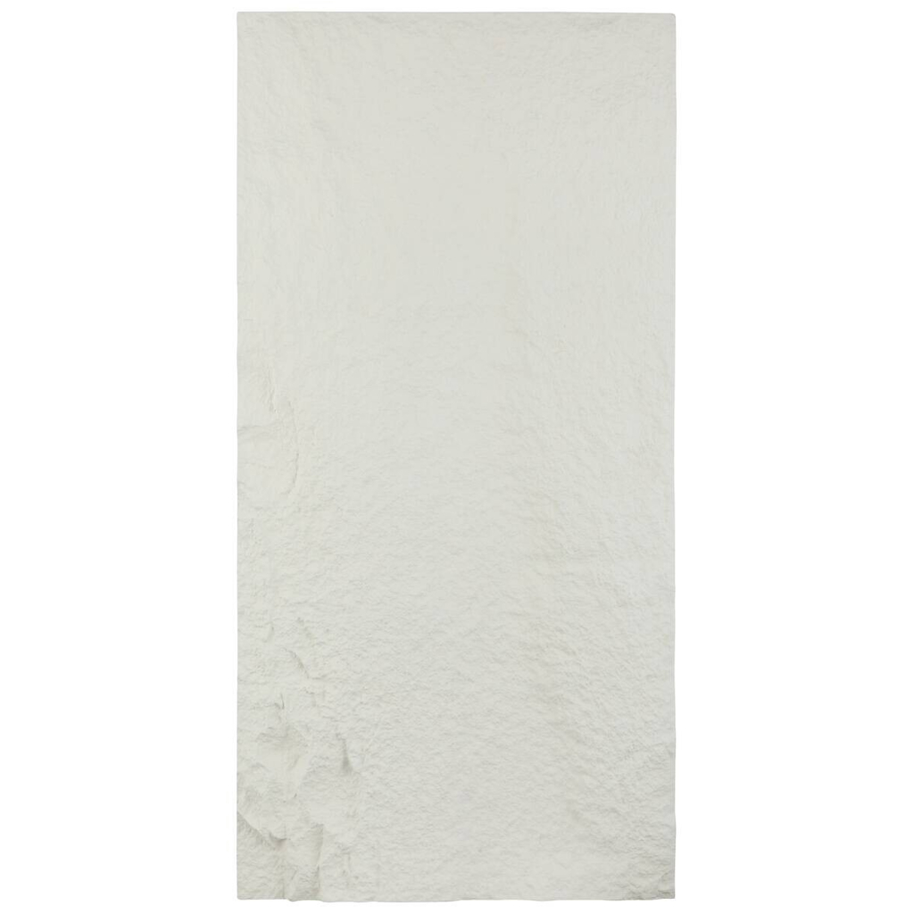 Wandpaneel PU Stone 2er-Set Hanui weiß L/B/H: ca. 120x60x3 cm pro Stück