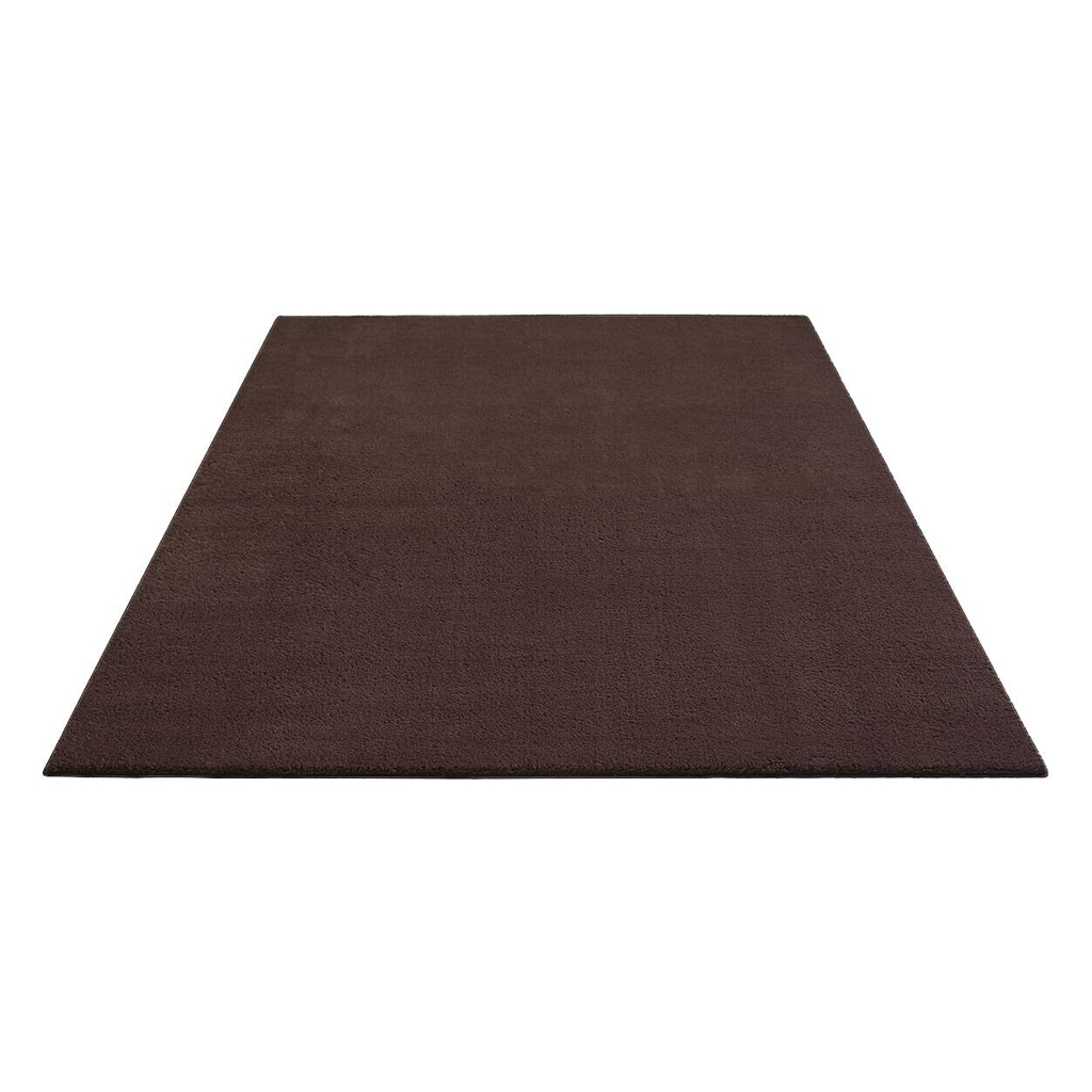 Teppich Loft braun B/H/L: ca. 120x13x160 cm
