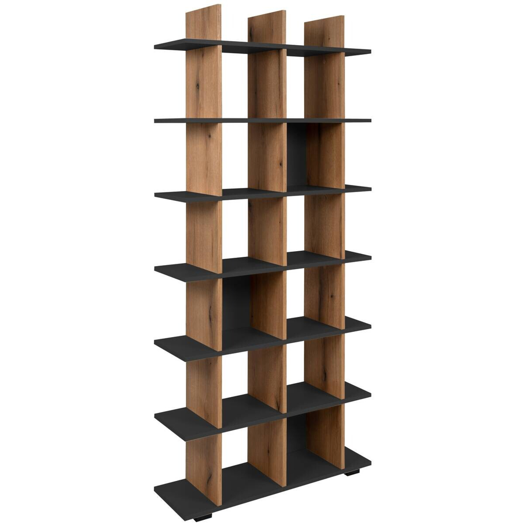Regal Navas 20A Eiche Artisan Nachbildung anthrazit B/H/T: ca. 80x173x25 cm