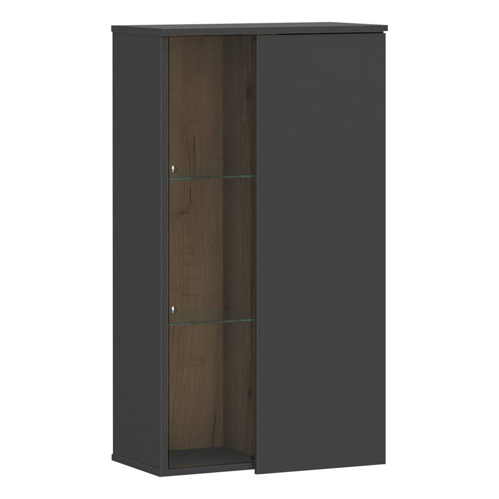 Hängevitrine Neo Eiche Evoke Oak Nachbildung anthrazit B/H/T: ca. 55x101x32 cm