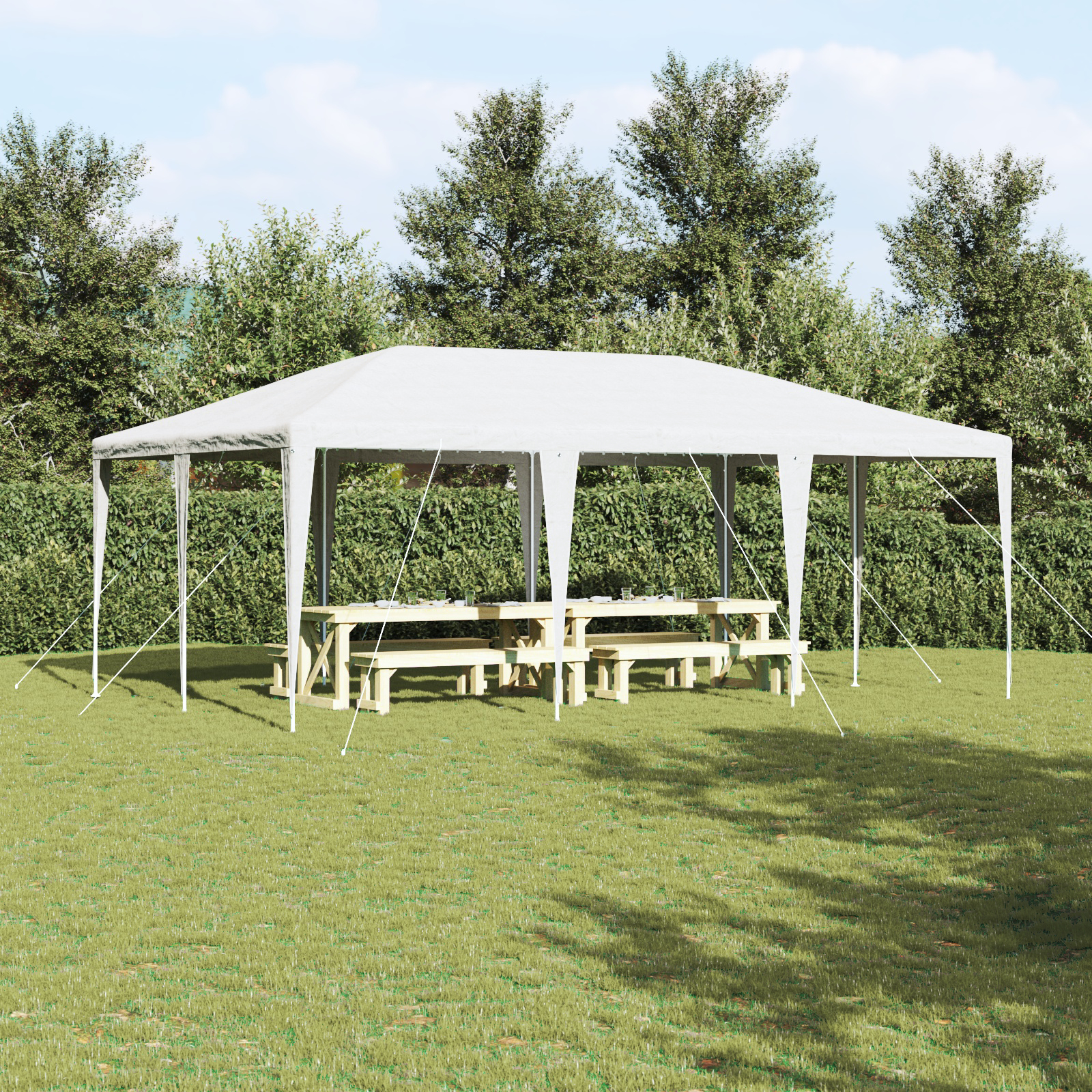 Festtelt Hvid 6x4 m PE