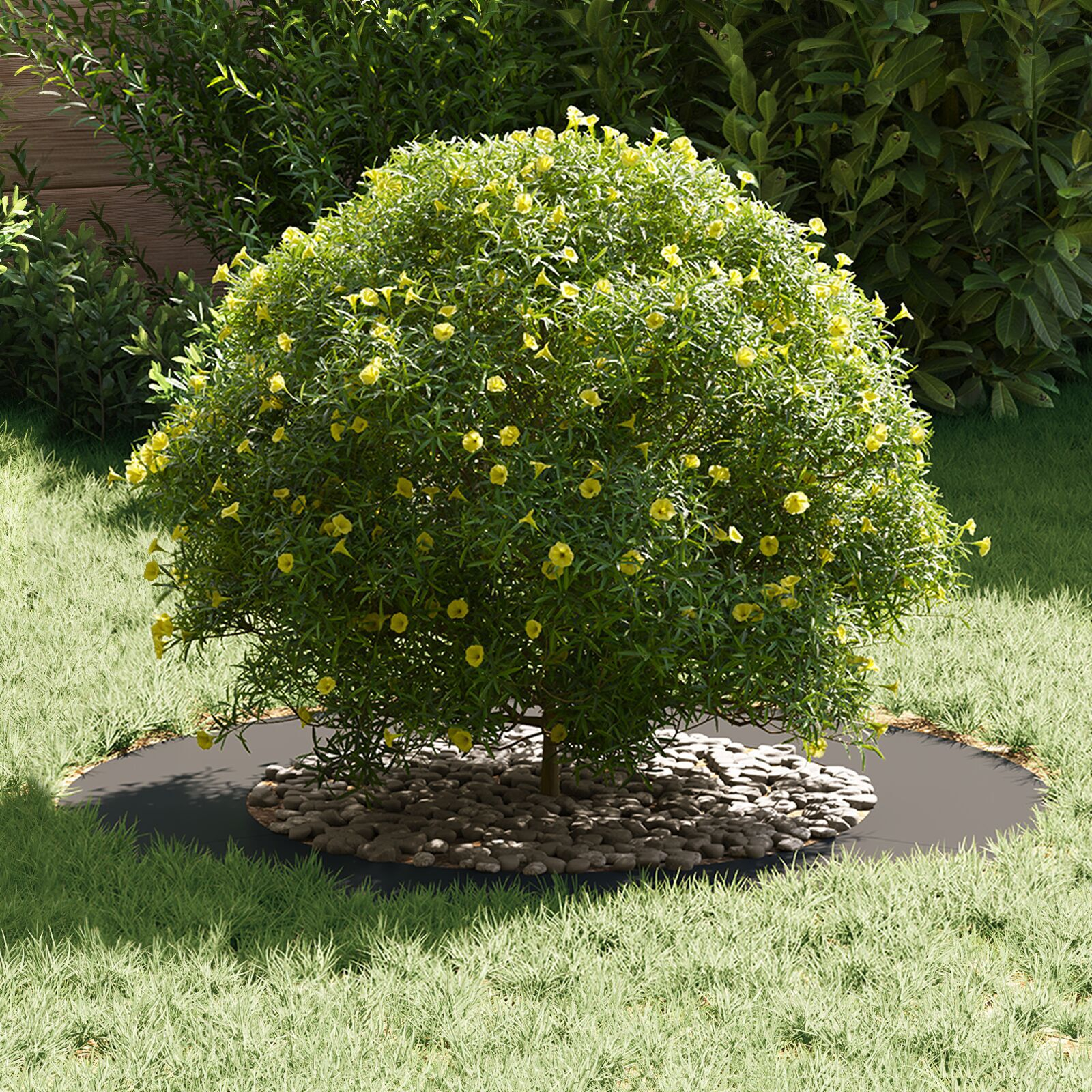 Ghiveci din Plastic Negru Plastic Mare Rotund Modern [2]