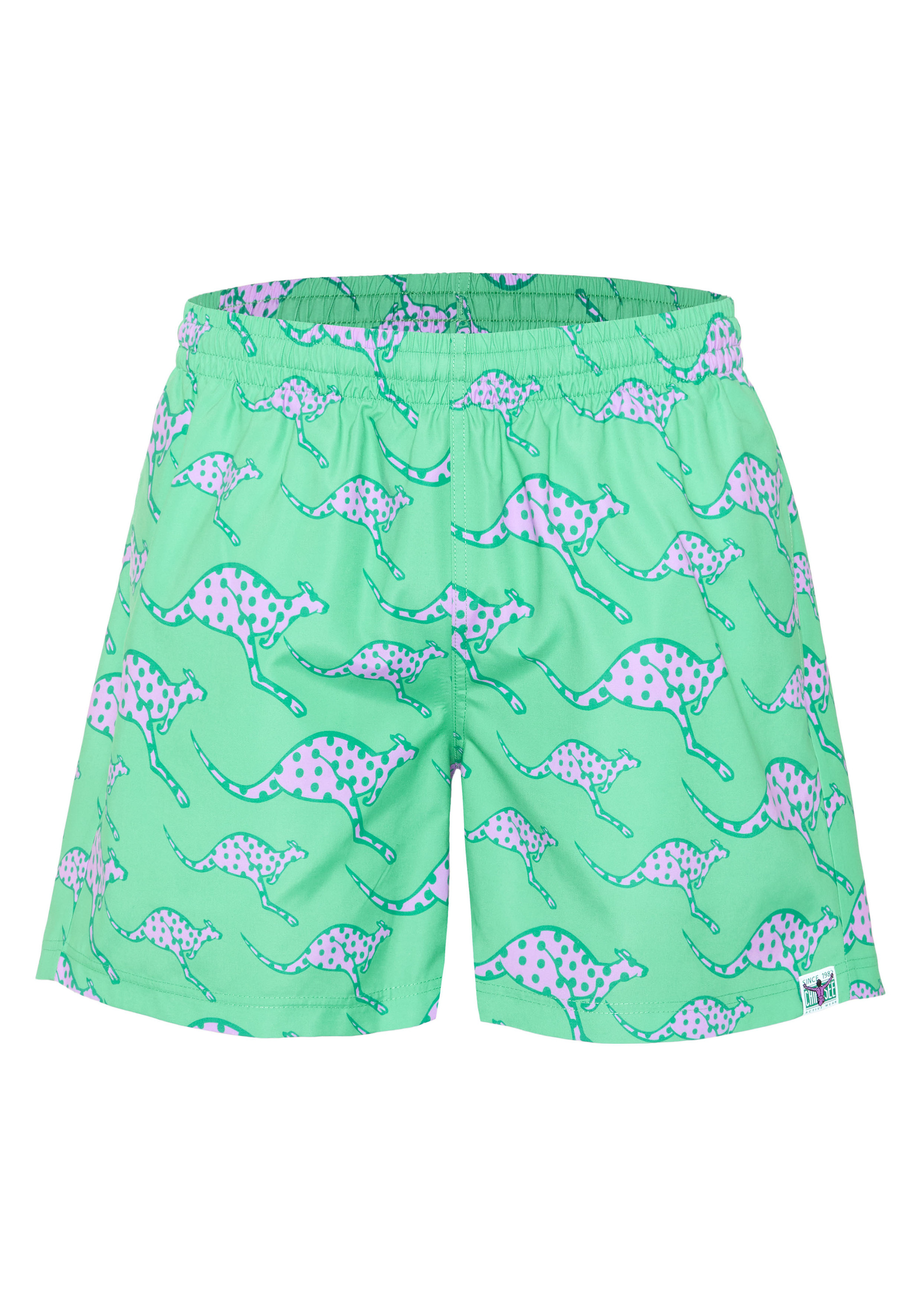 Chiemsee Badeshorts, Schnelltrocknend, FüR Herren, GrüN, L