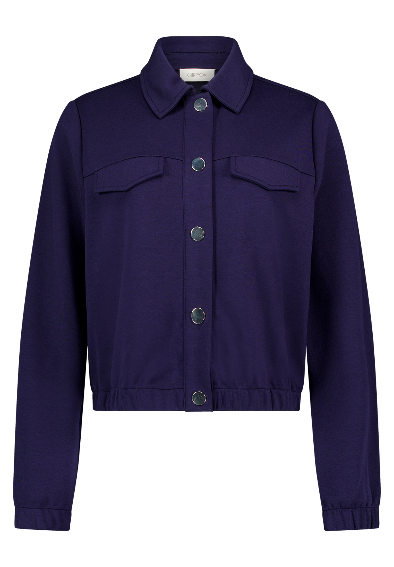 Cartoon Blazerjacke, FüR Damen, Blau, 42