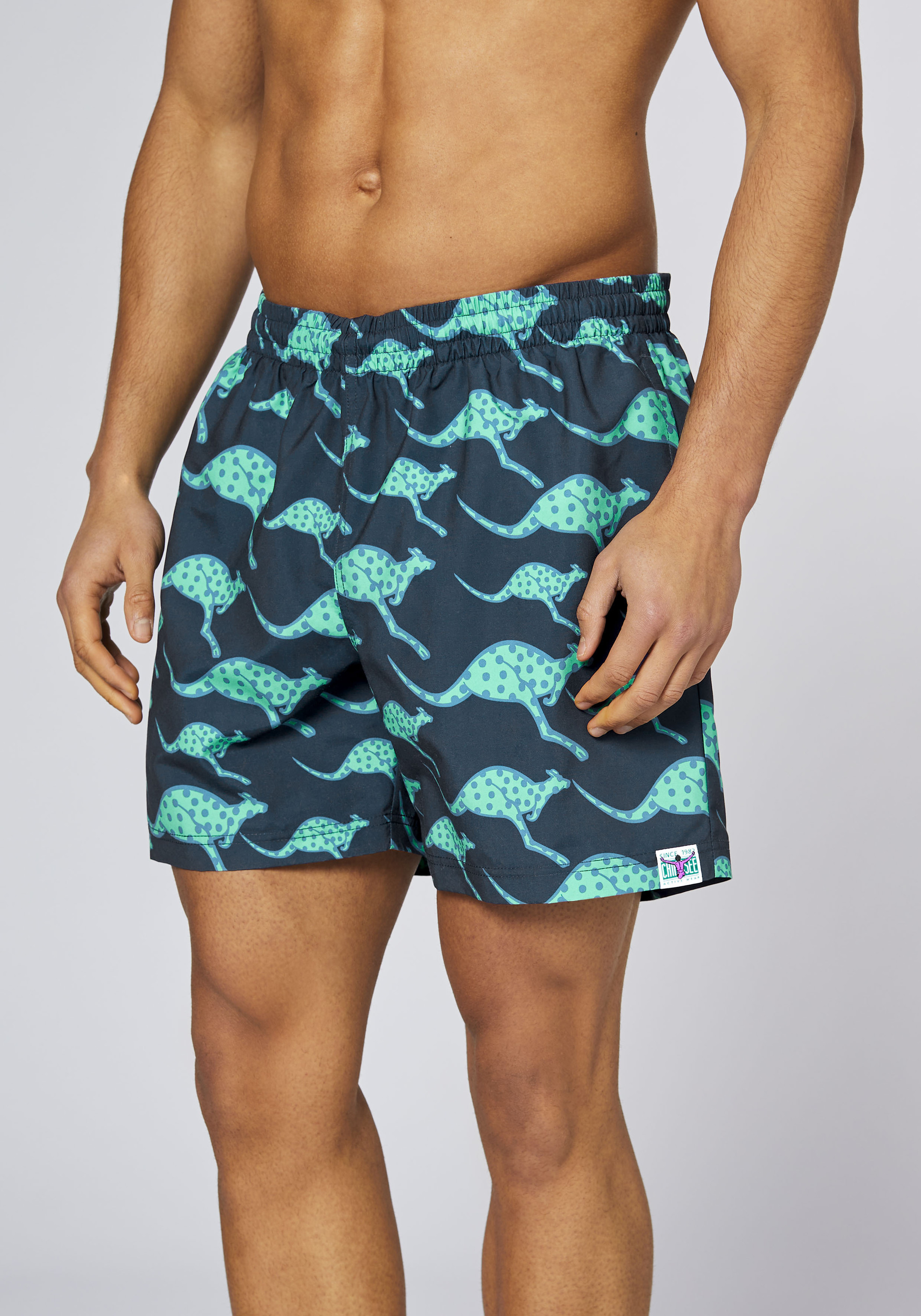 Chiemsee Badeshorts, Schnelltrocknend, FüR Herren, Blau, M