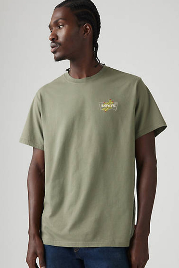 Levi's Relaxed Fit Short Sleeve Graphic Tee - Men's - XS - Green