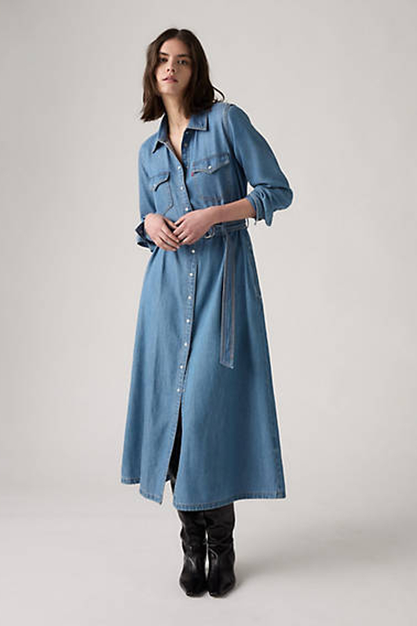 Levi's Quincey Long Sleeve Maxi Dress In Blue