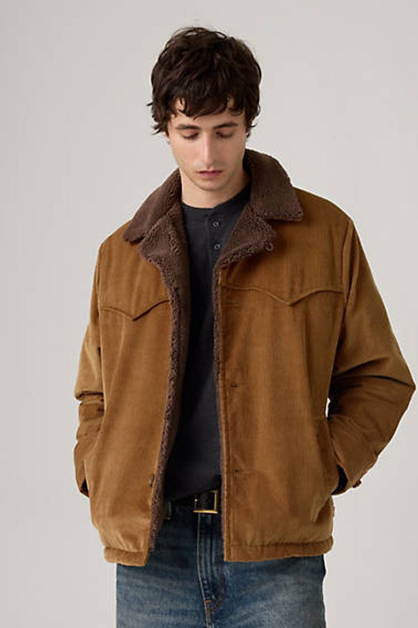 Levi' Veste Courte Cozy Durham Homme / Bison