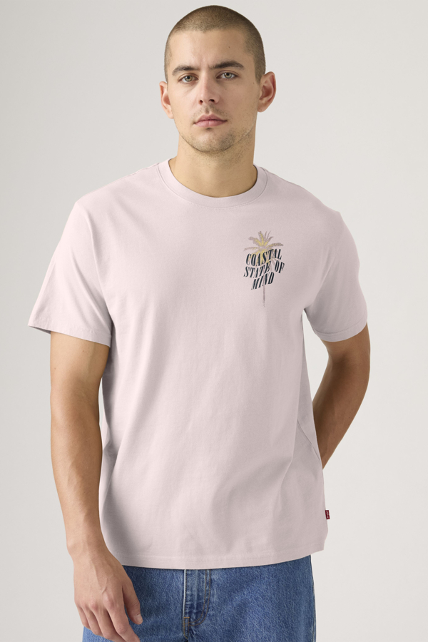 Levi' Relaxed Fit Graphic Tee Homme / Coastal State Of Mind Crystal