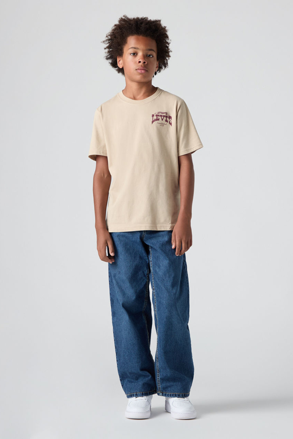 Levi' Ado Jean 578 Baggy Homme Neutral / Bandwagon