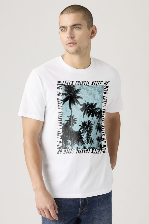 Levi' Relaxed Fit Graphic Tee Homme / Coastal State Of Mind Birght