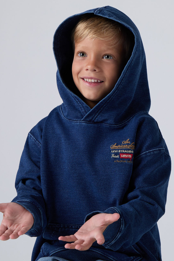 Levi' Enfant Sweat À Capuche Legendary Homme Neutral / Iron Horse