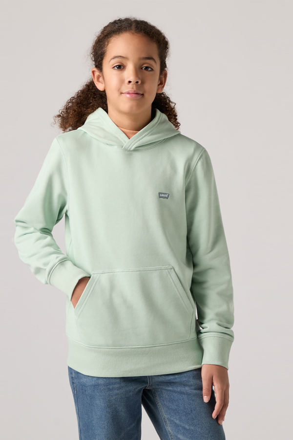Levi's Teenager Mini Batwing Pullover Hoodie - boy - 12A -