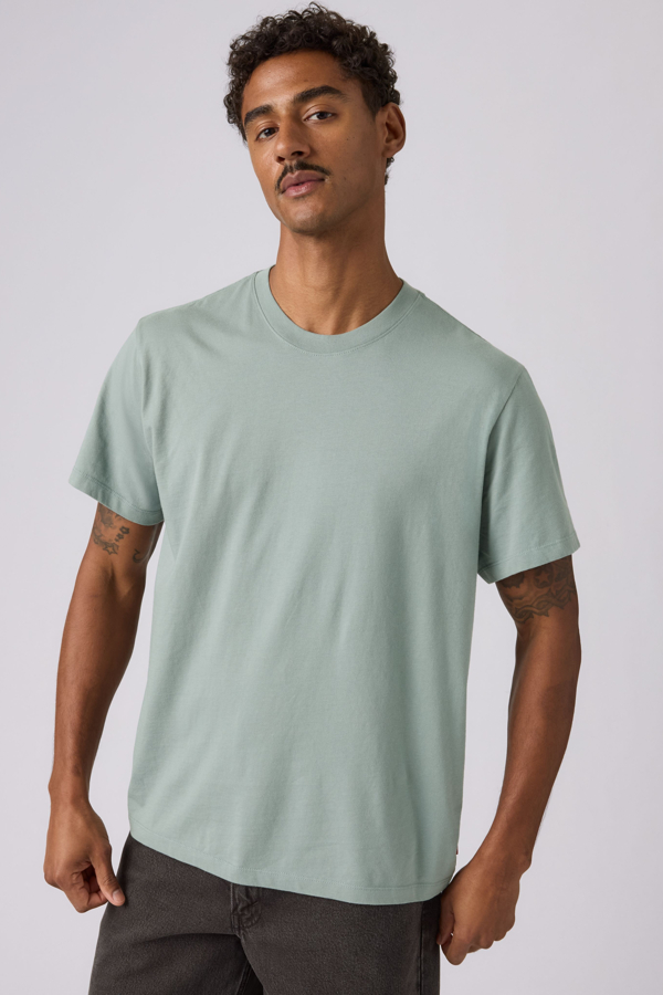 Levi's Essential T shirt - Men's - M -