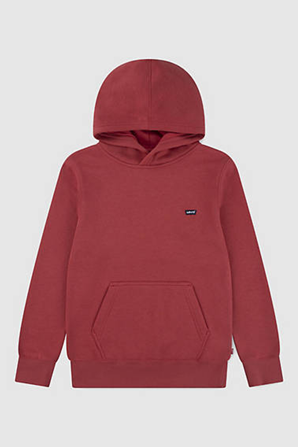 Sudadera con capucha Mini Batwing para adolescentes - Chicos - 10A - Neutral / Cardinal